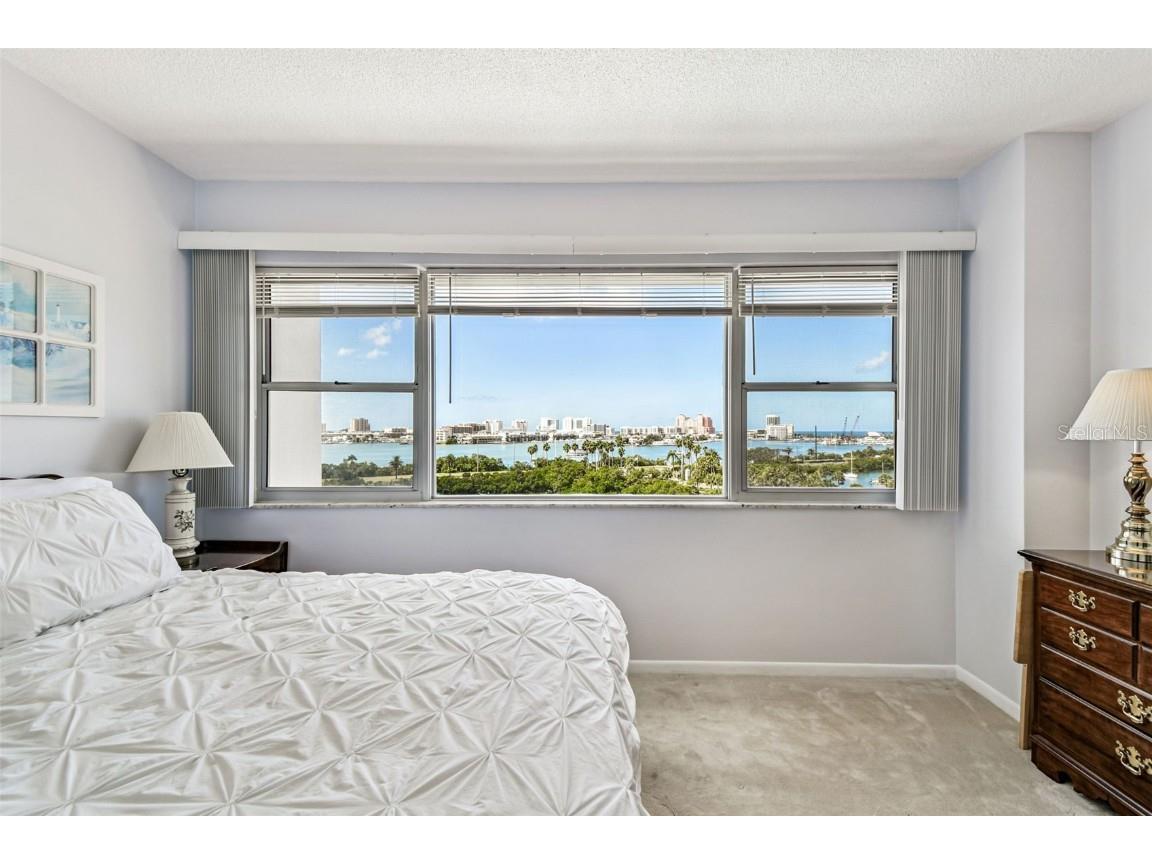 31 Island Way #609 Clearwater Beach FL 33767 TB8436789 image15