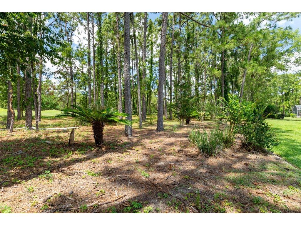 31 Lake Diamond Boulevard Ocala FL 34472 W7885779 image65