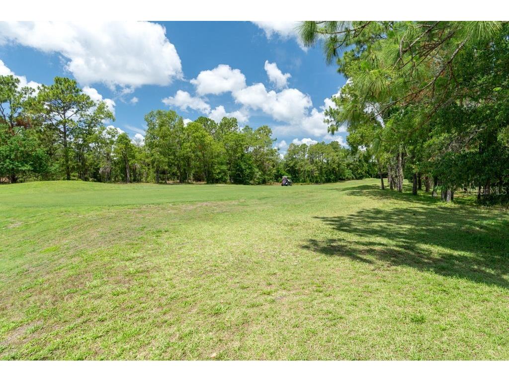 31 Lake Diamond Boulevard Ocala FL 34472 W7885779 image66