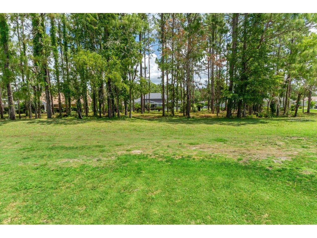 31 Lake Diamond Boulevard Ocala FL 34472 W7885779 image68