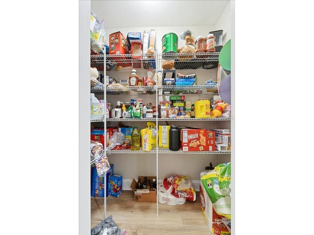 31 Morgan Street Auburndale FL 33823 S5138708 image18