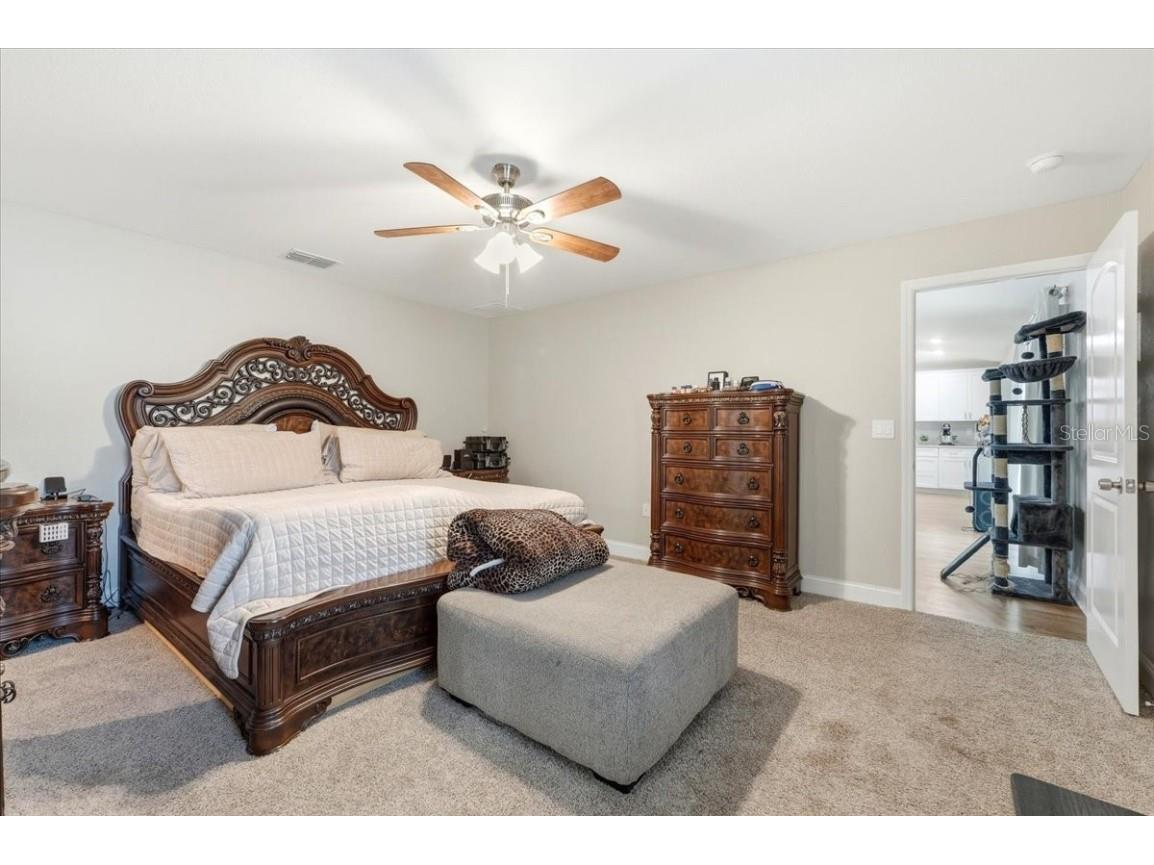 31 Morgan Street Auburndale FL 33823 S5138708 image22