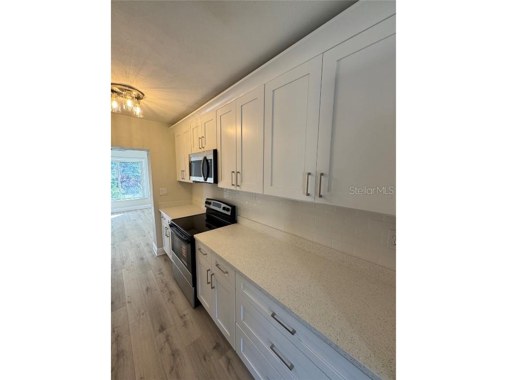 31 N Fredrica Avenue Clearwater FL 33755 TB8443779 image18