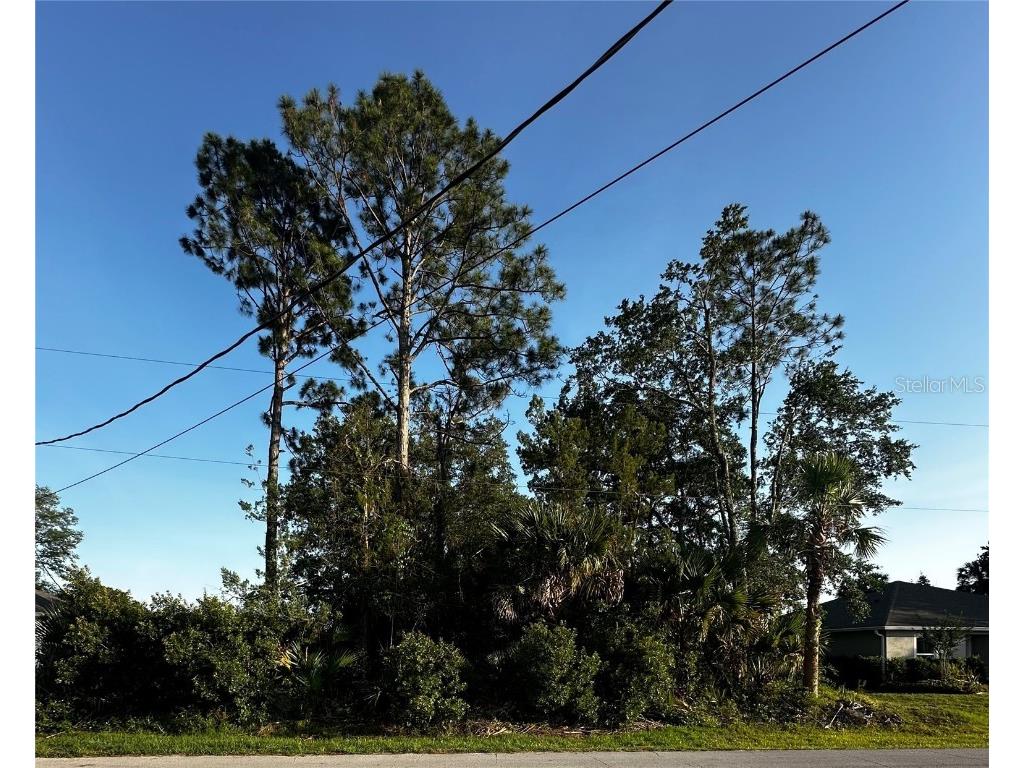 31 Palm Lane Palm Coast FL 32164 FC309827 image1