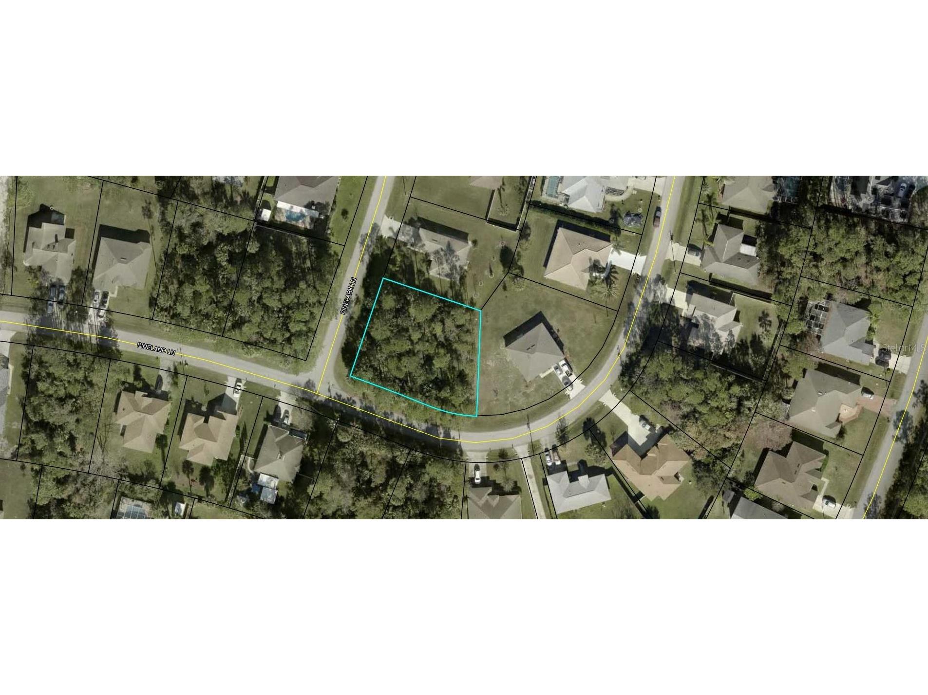 31 Pinelark Lane Palm Coast FL 32164 FC293038 image1