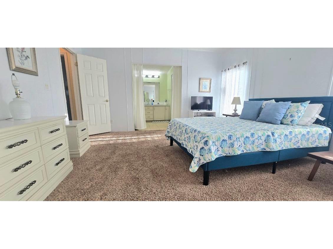 31 Revere Way #23 Palm Harbor FL 34684 TB8486509 image9