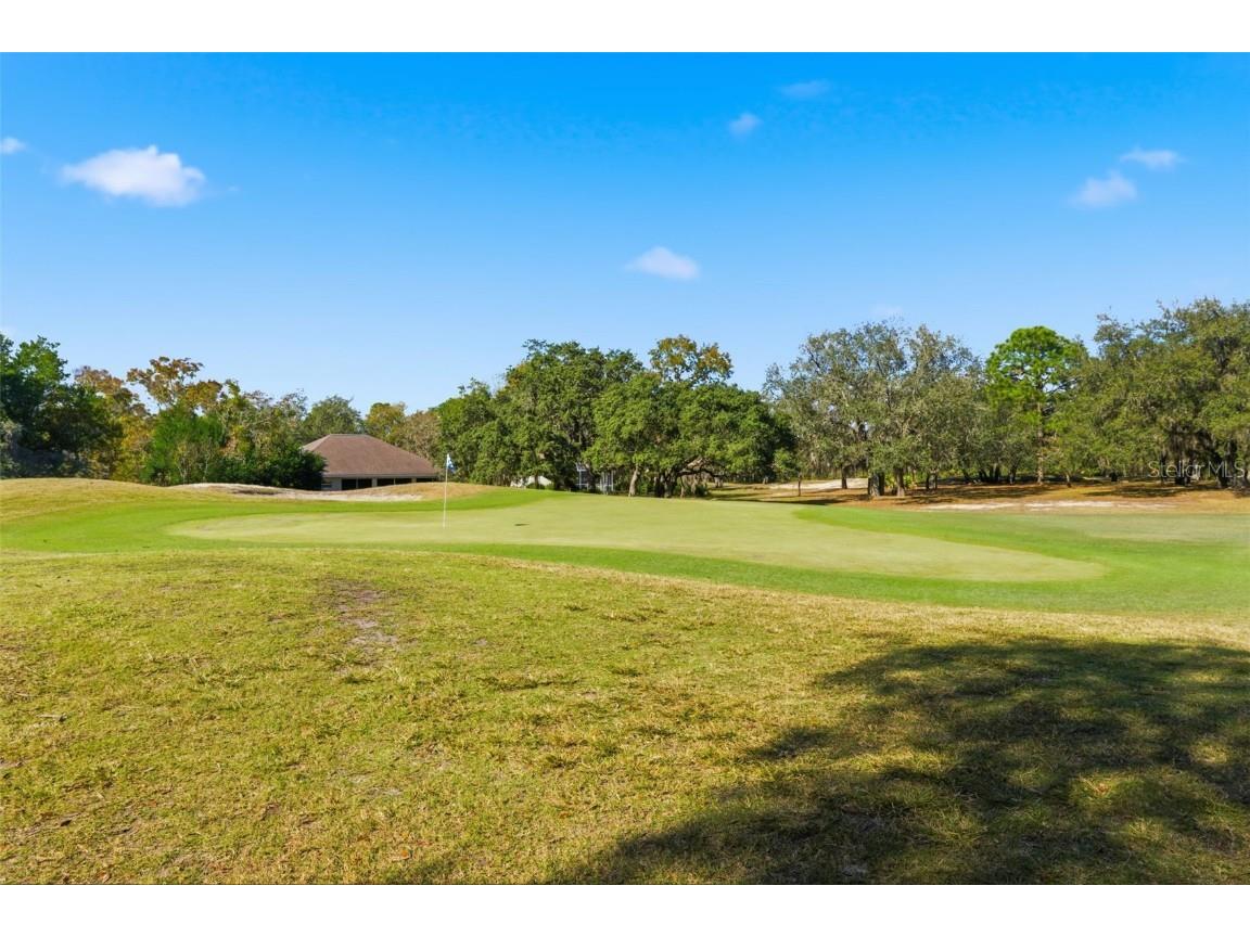 31 Ryewood Circle Homosassa FL 34446 W7881786 image79