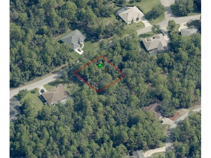 31 Saintpaulia Street Homosassa FL 34446 W7885880 image1