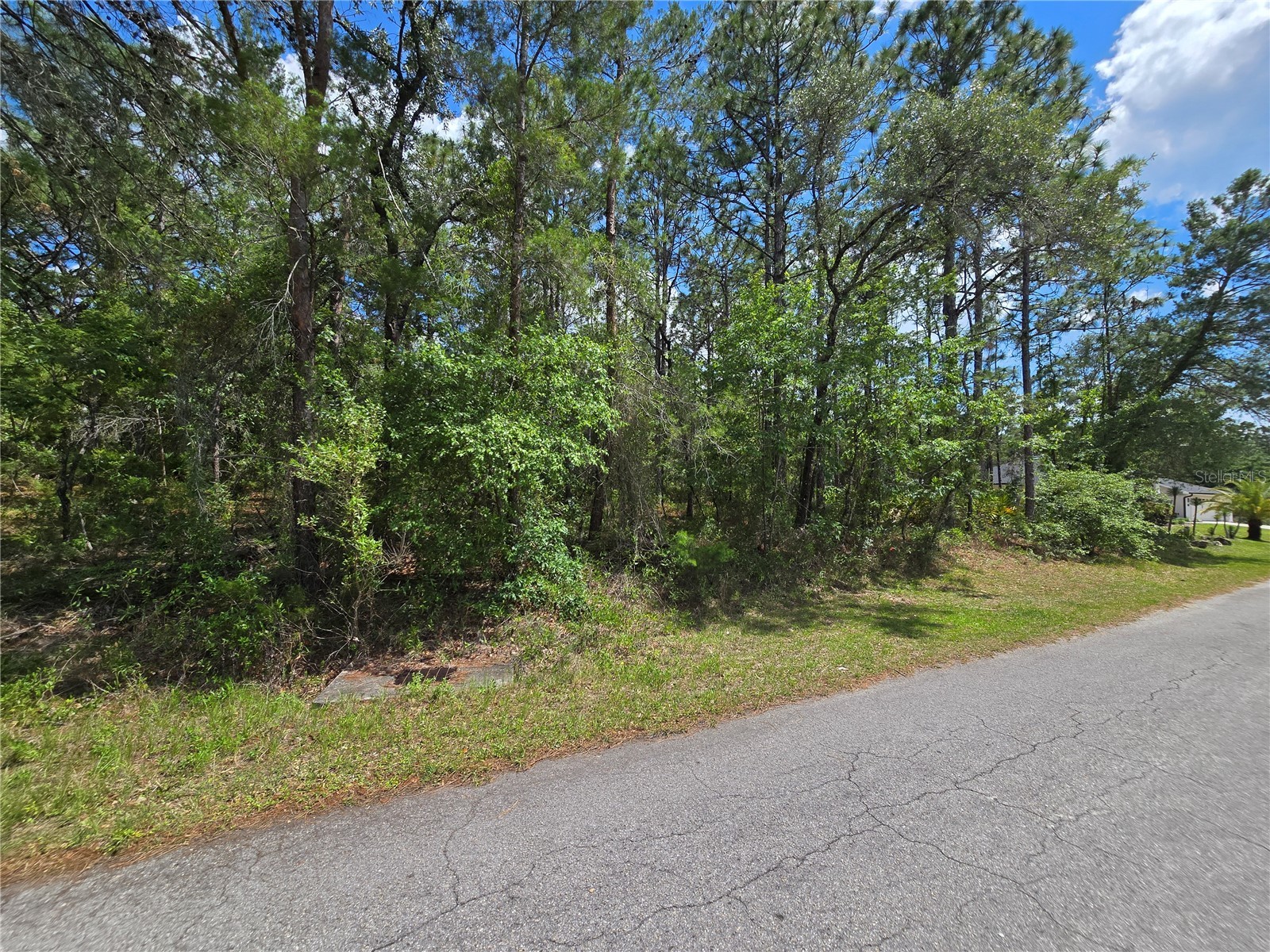 31 Saintpaulia Street Homosassa FL 34446 W7885880 image3