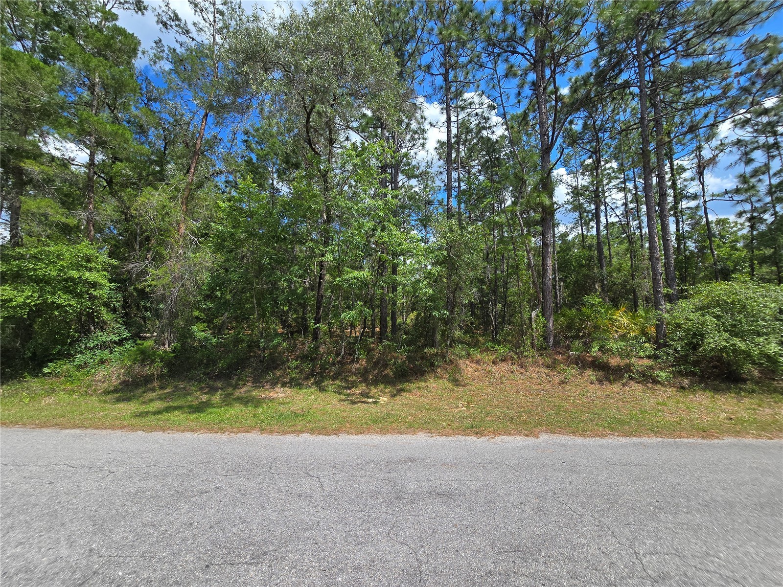 31 Saintpaulia Street Homosassa FL 34446 W7885880 image4