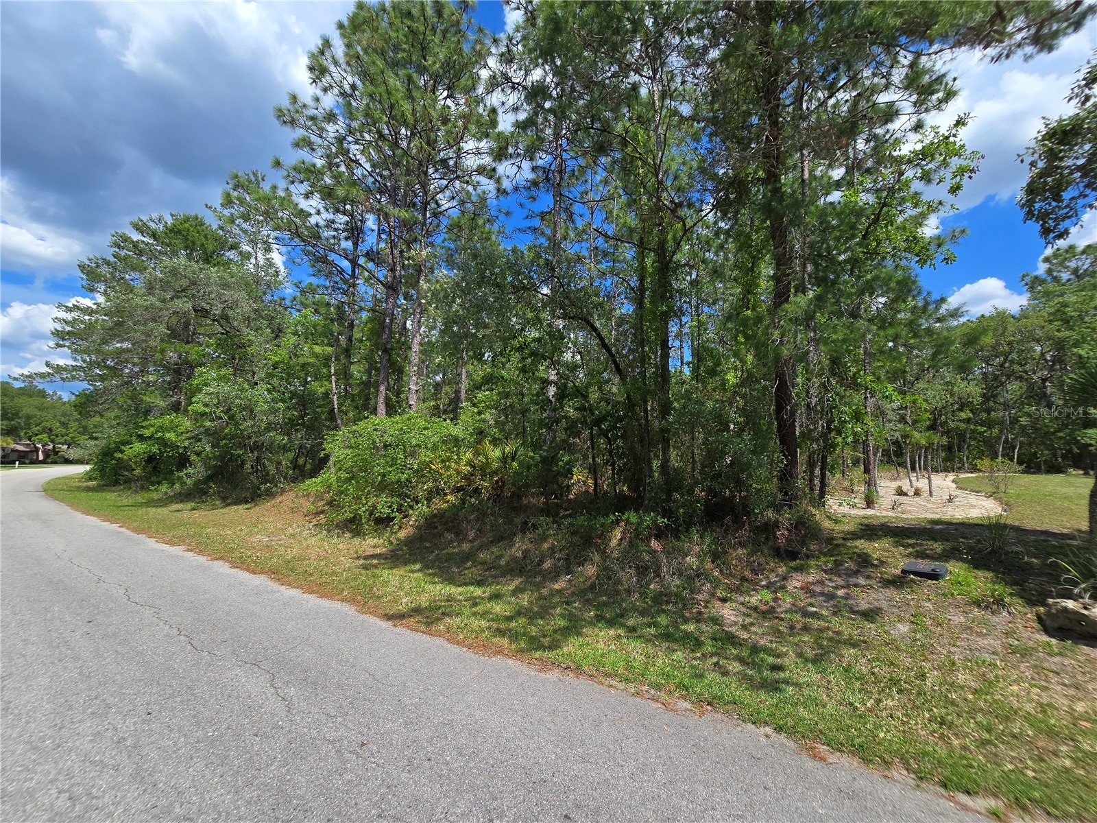 31 Saintpaulia Street Homosassa FL 34446 W7885880 image6