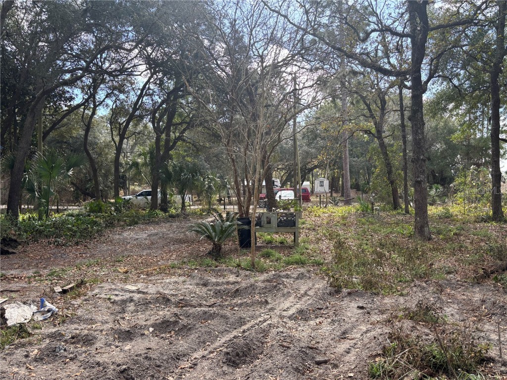 31 SE 190th Avenue Old Town FL 32680 O6372005 image2