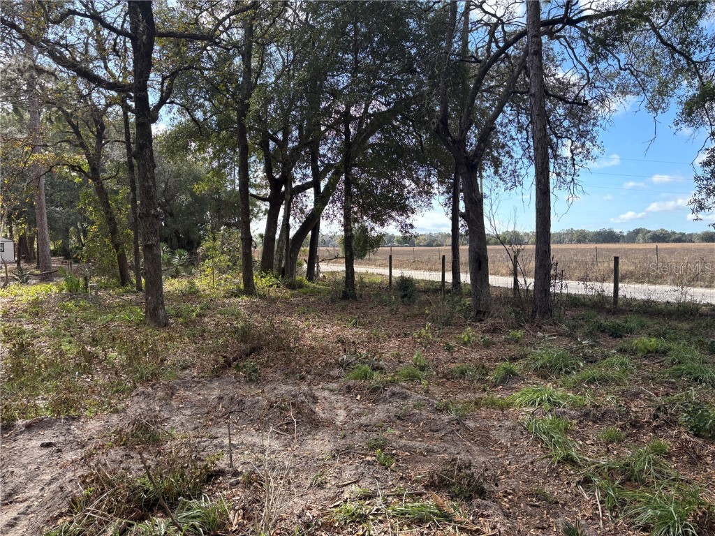 31 SE 190th Avenue Old Town FL 32680 O6372005 image3