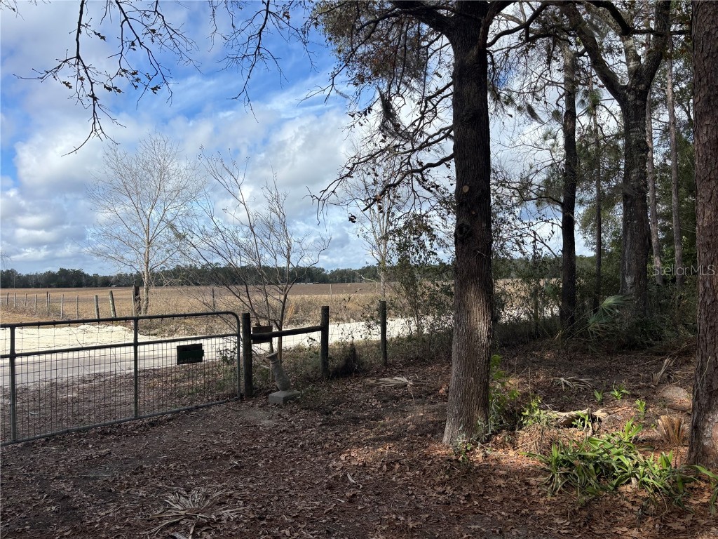 31 SE 190th Avenue Old Town FL 32680 O6372005 image5