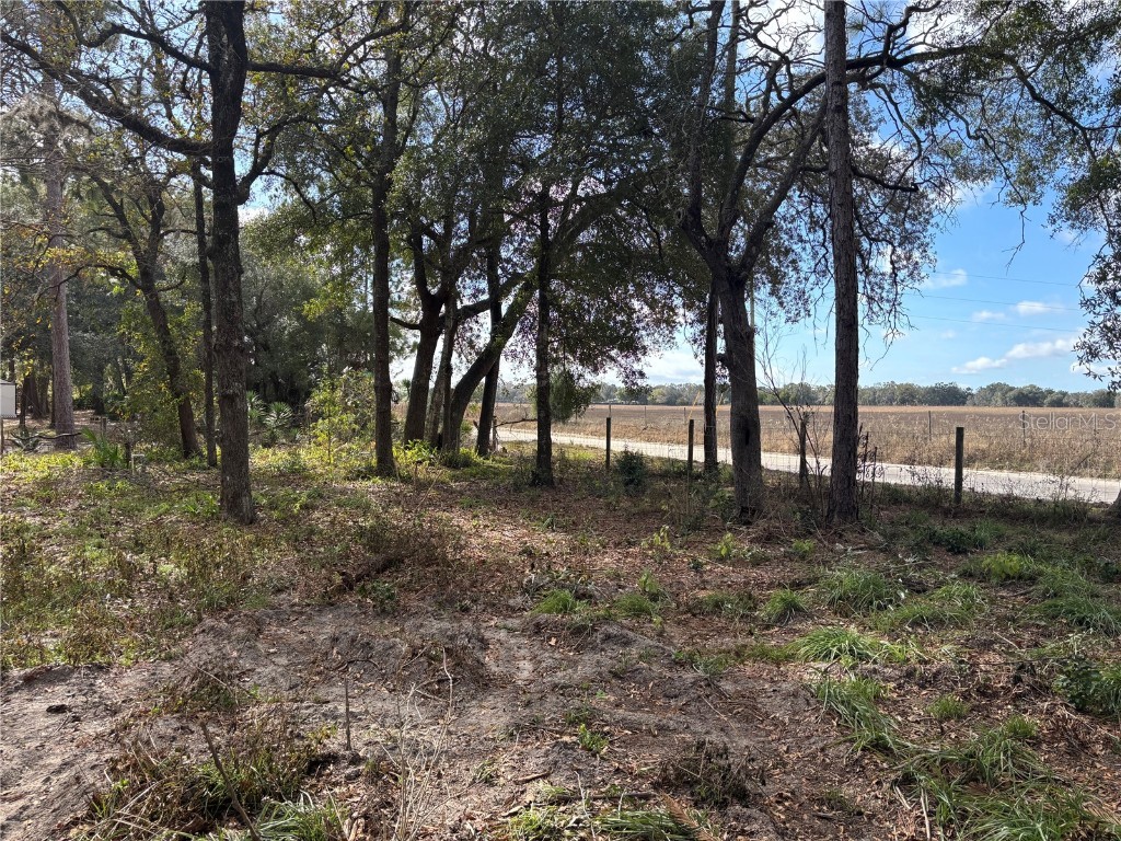 31 SE 190th Avenue Old Town FL 32680 O6372005 image6