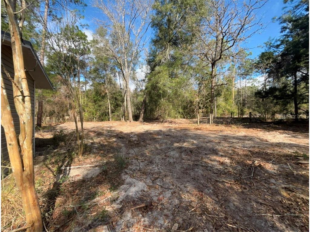 31 SE 190th Avenue Old Town FL 32680 O6372005 image8