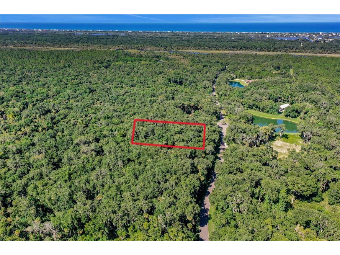 31 Steeplechase Trail Flagler Beach FL 32136 V4925604 image1