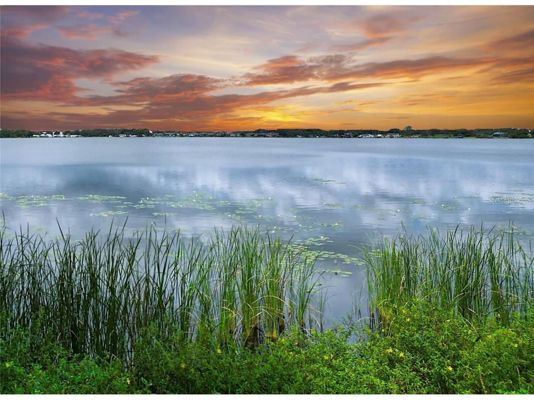 31 Sunset Circle Lake Alfred FL 33850 - LAKE MARIANA P4936225 image11