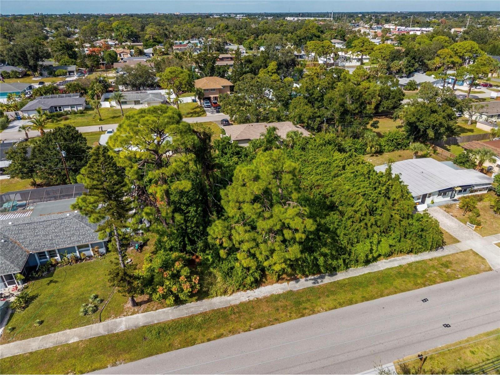 31 W Seminole Drive Venice FL 34293 O6403686 image6