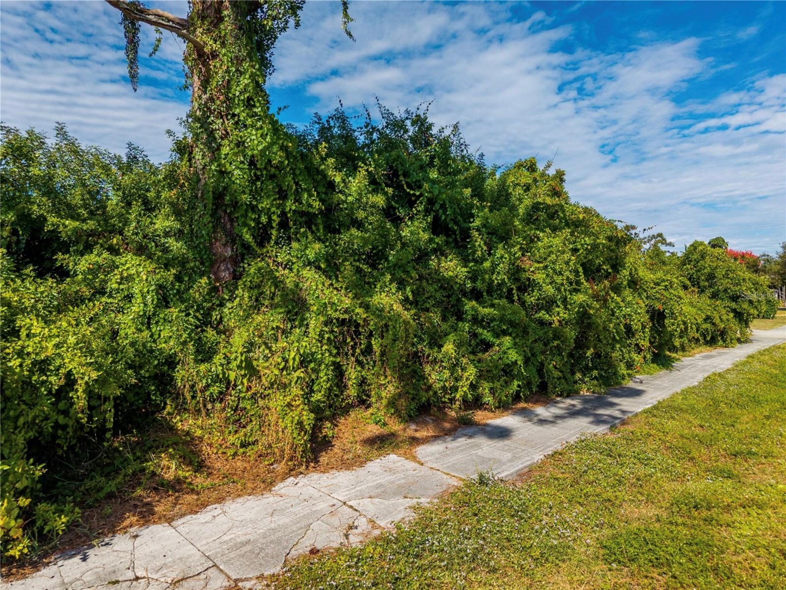 31 W Seminole Drive Venice FL 34293 O6403686 image9