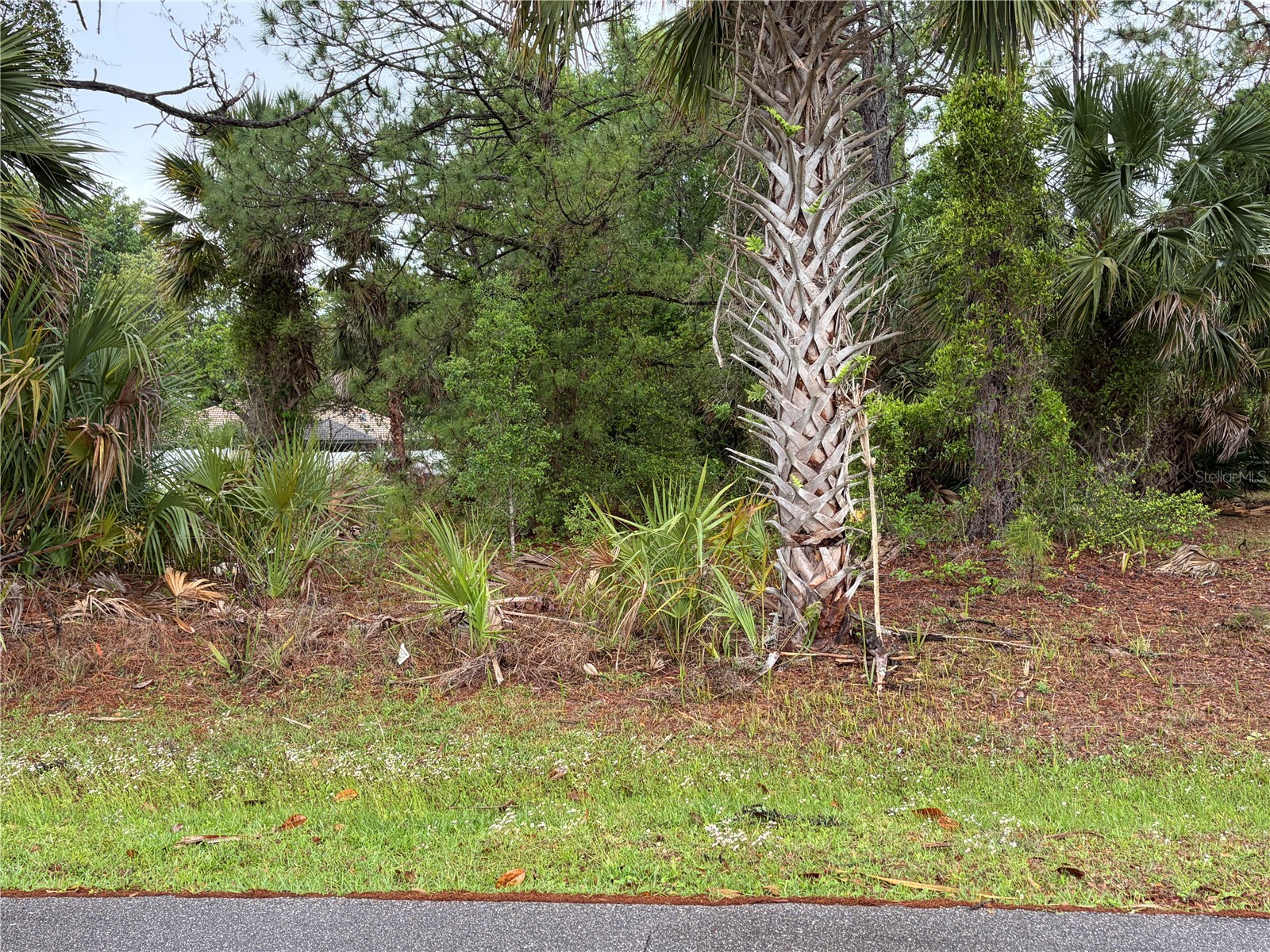 31 Whittingham Lane Palm Coast FL 32164 V4948375 image1