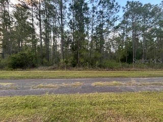 310&312 (BLK368 LOTS 5&6) Alba Drive Indian Lake Estates FL 33855 TB8509529 image1