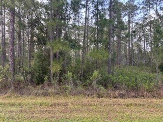 310&312 (BLK368 LOTS 5&6) Alba Drive Indian Lake Estates FL 33855 TB8509529 image2