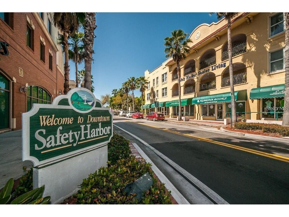 310 7th Street N #UNIT A Safety Harbor FL 34695 TB8492957 image29