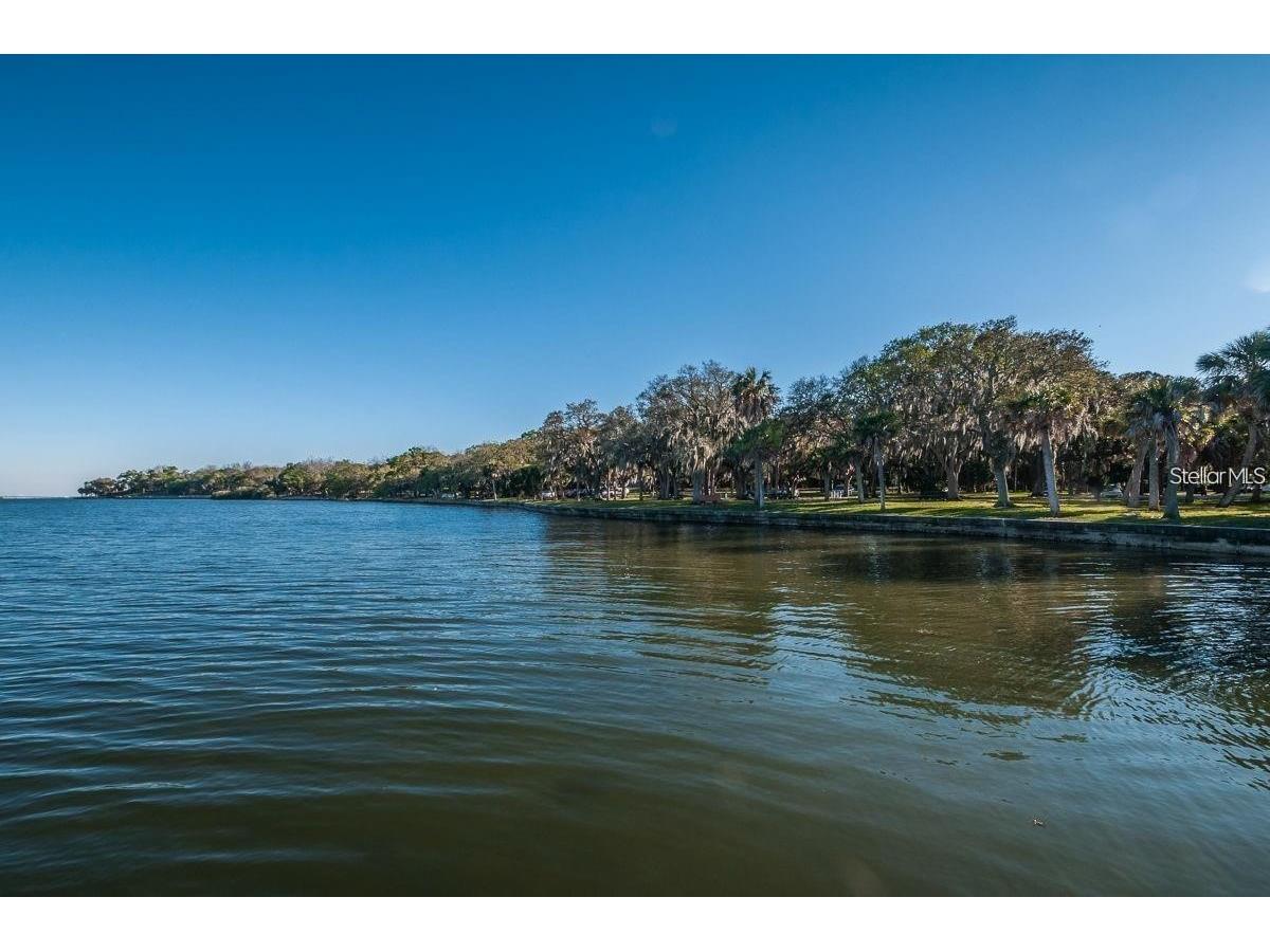 310 7th Street N #UNIT A Safety Harbor FL 34695 TB8492957 image32