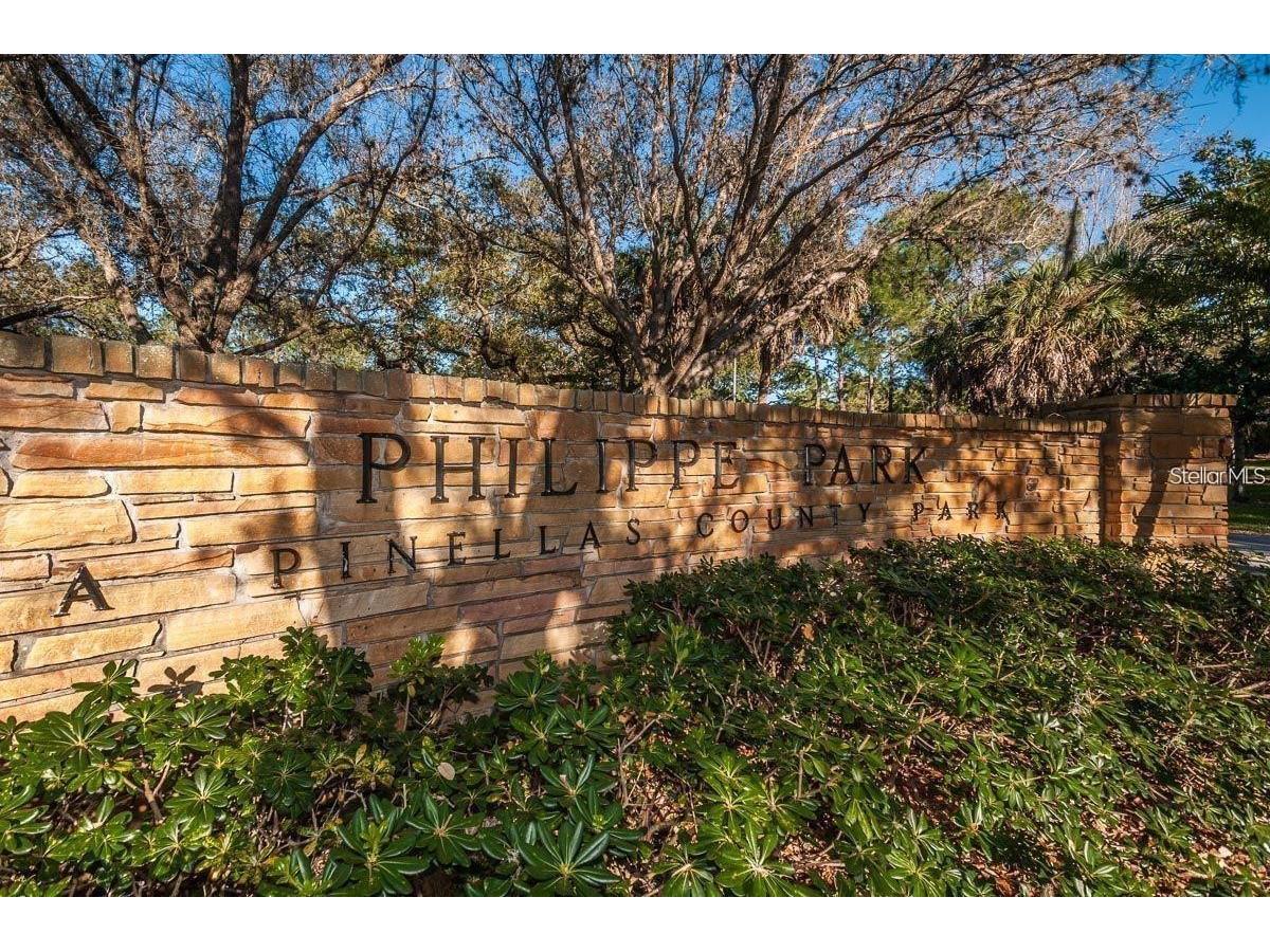 310 7th Street N #UNIT A Safety Harbor FL 34695 TB8492957 image34