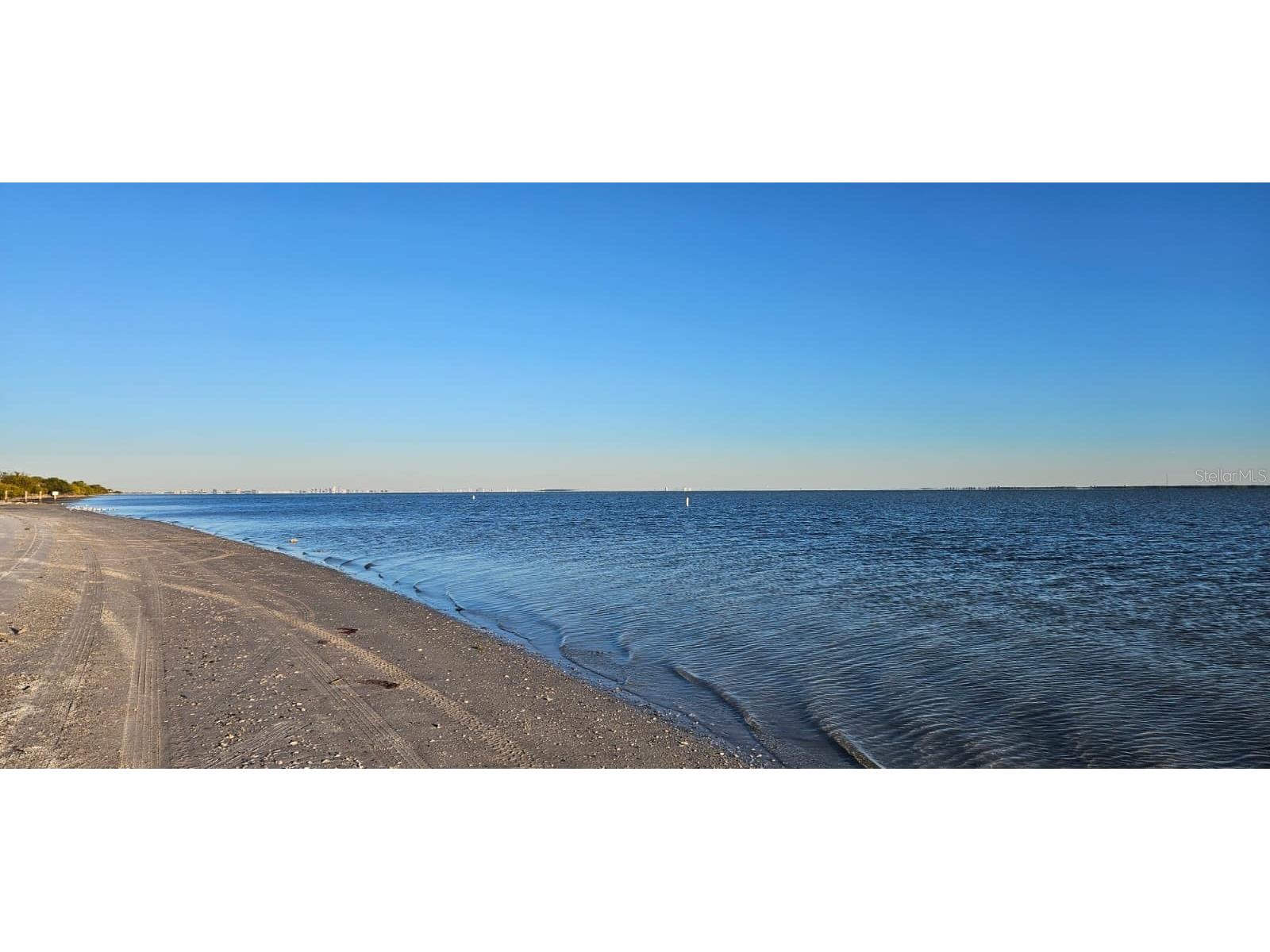 310 Bayshore Boulevard #104 Clearwater FL 33759 TB8467180 image40