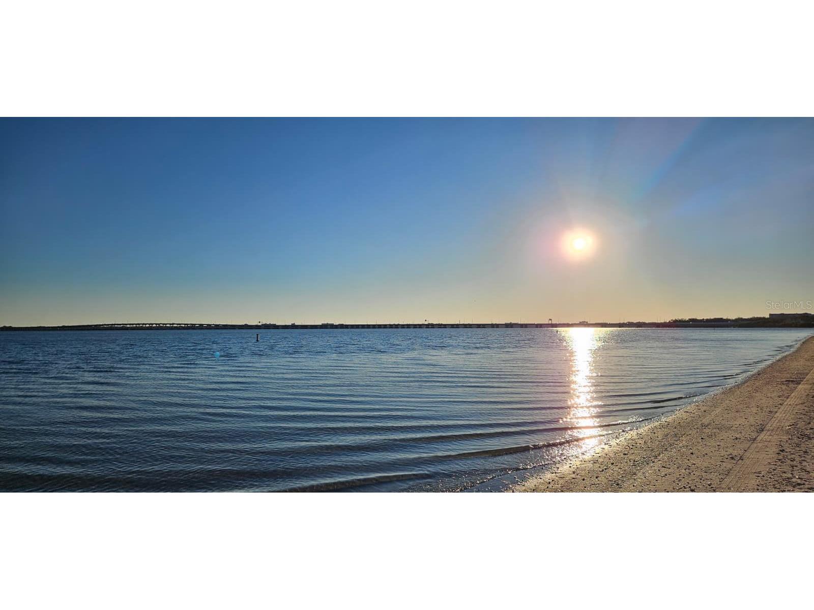 310 Bayshore Boulevard #104 Clearwater FL 33759 TB8467180 image41