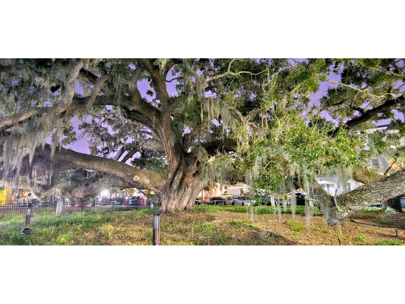 310 Bayshore Boulevard #104 Clearwater FL 33759 TB8467180 image43
