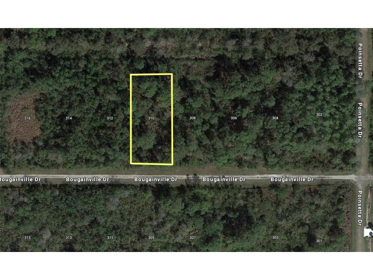 310 Bougainvillea Indian Lake Estates FL 33855 - LAKE WALK-IN-WATER T3490544 image1