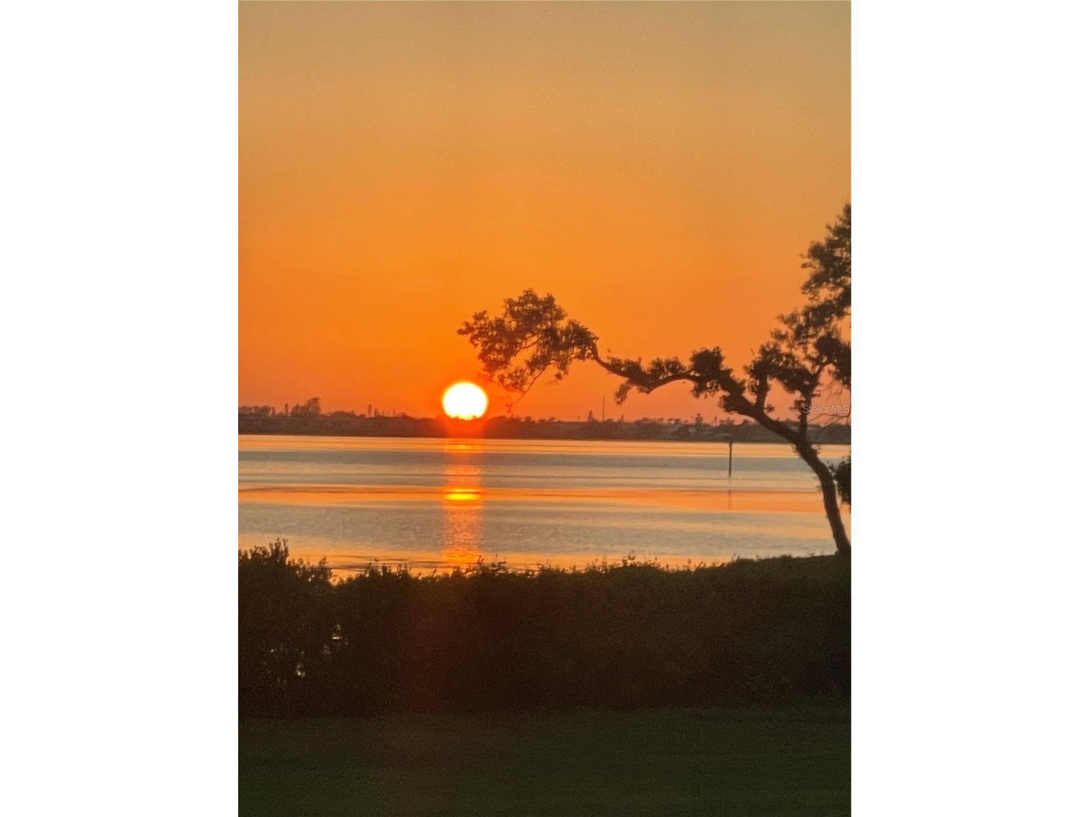 310 Compass Point Drive #101 Bradenton FL 34209 - ANNA MARIA SOUND A4678766 image3