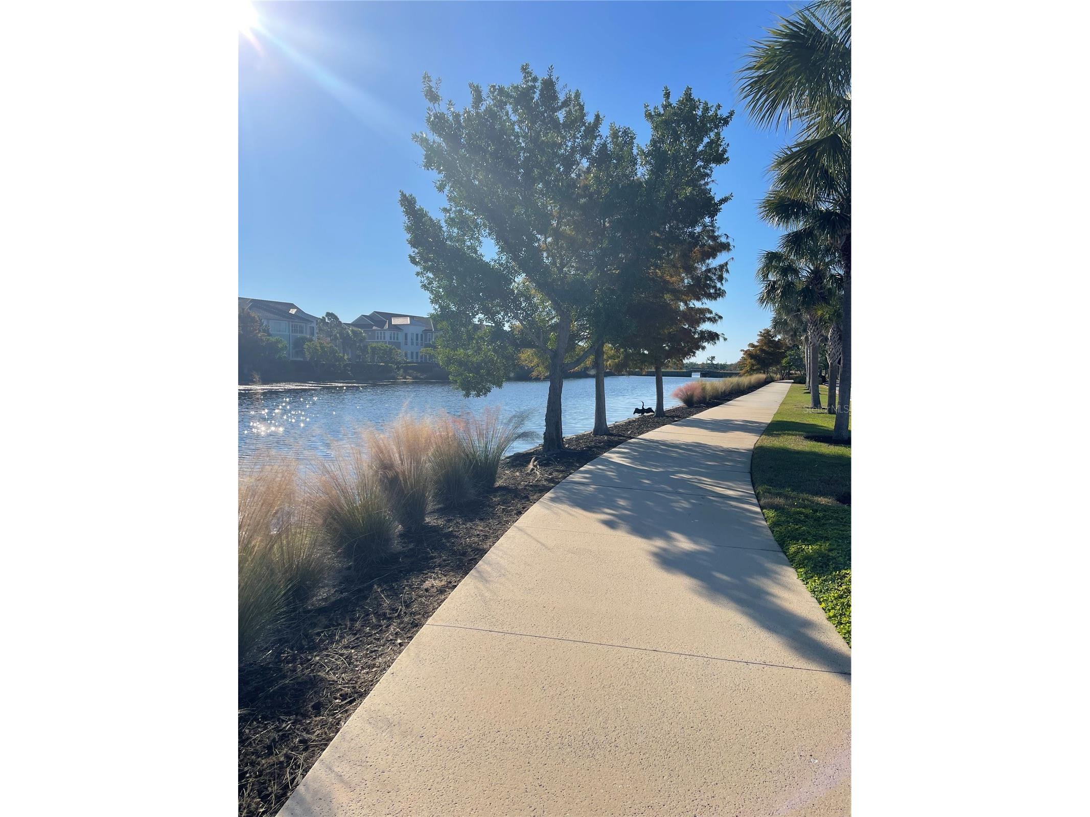 310 Compass Point Drive #101 Bradenton FL 34209 - ANNA MARIA SOUND A4678766 image52