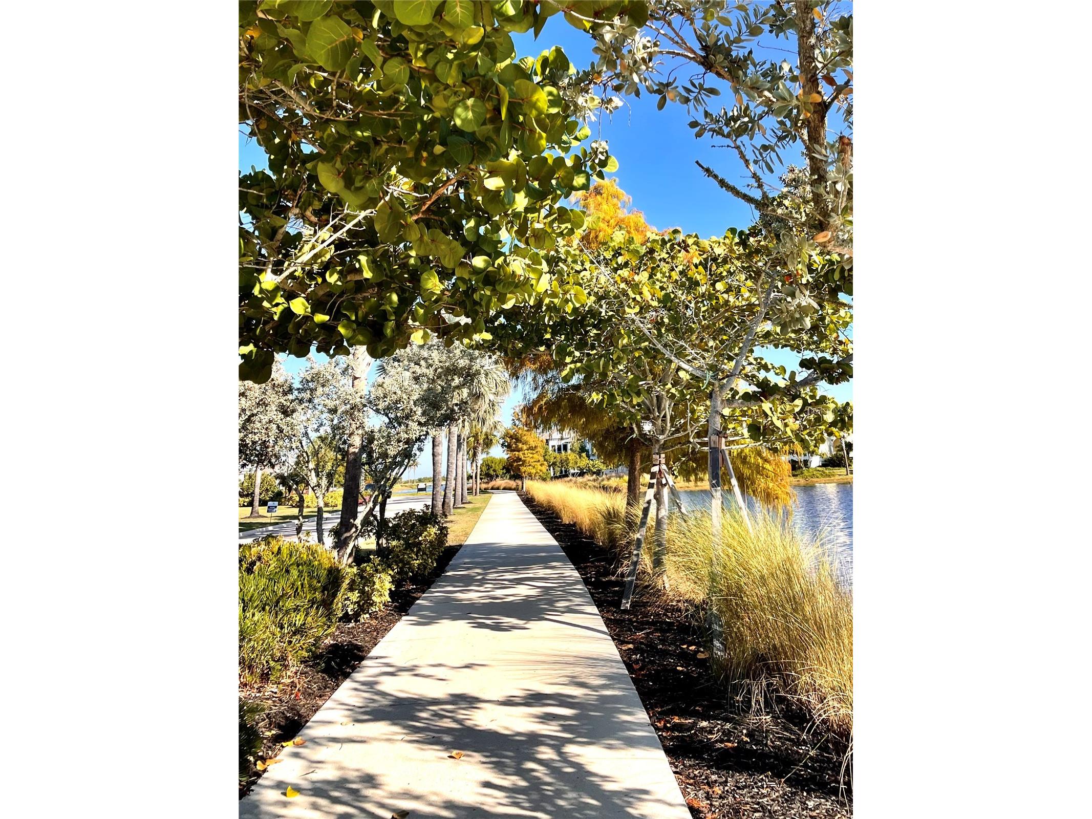310 Compass Point Drive #101 Bradenton FL 34209 - ANNA MARIA SOUND A4678766 image53