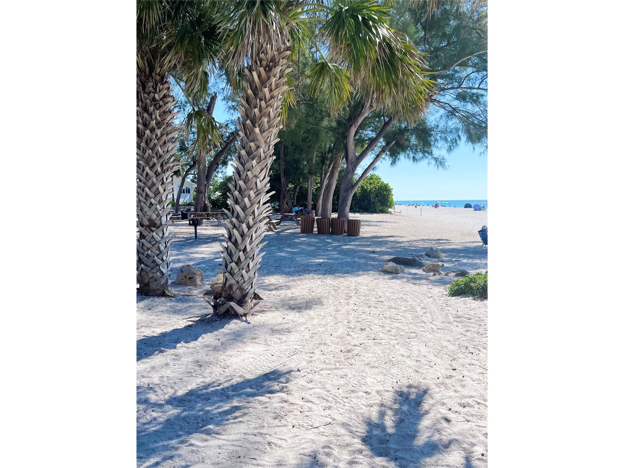 310 Compass Point Drive #101 Bradenton FL 34209 - ANNA MARIA SOUND A4678766 image78