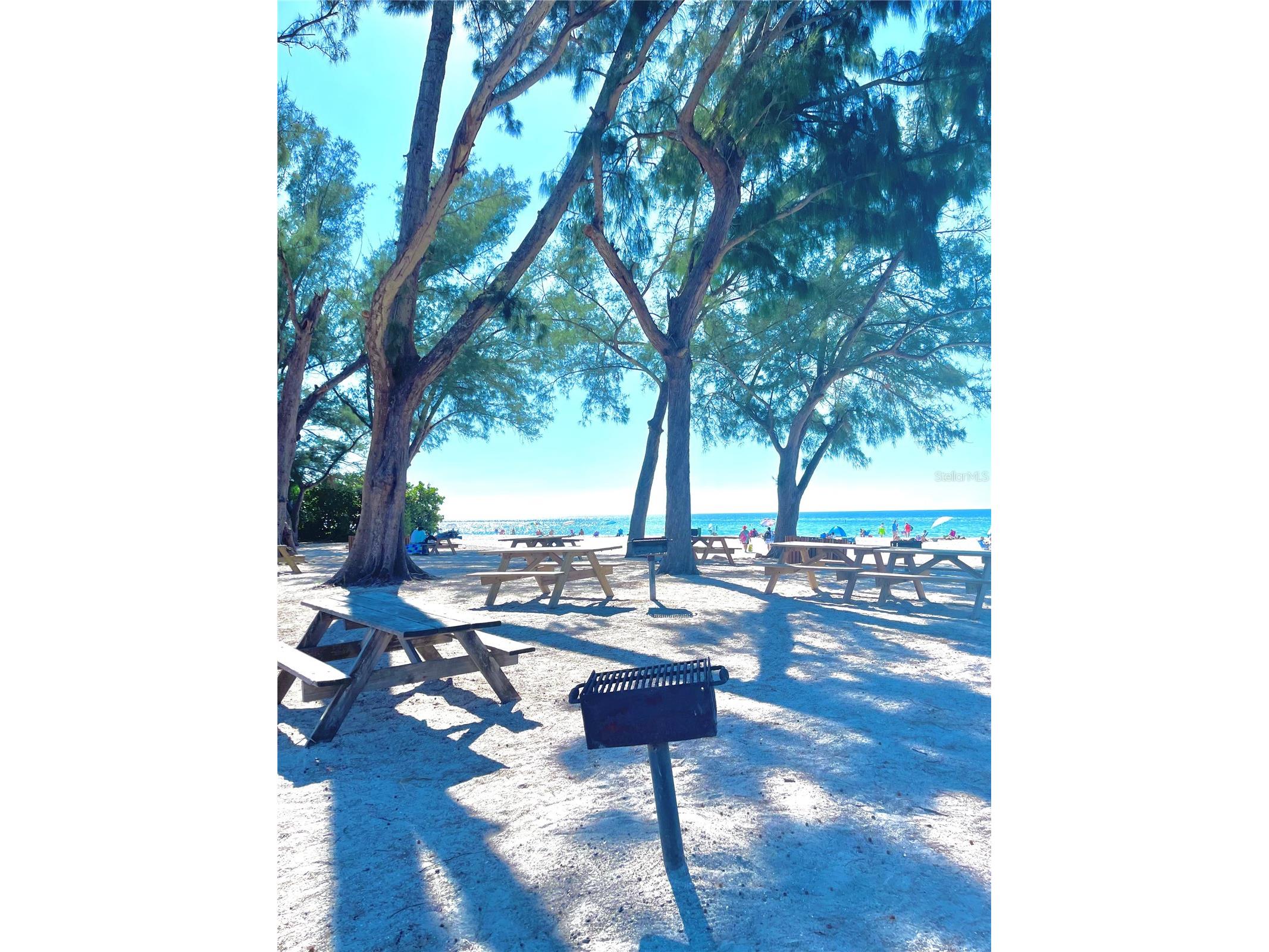310 Compass Point Drive #101 Bradenton FL 34209 - ANNA MARIA SOUND A4678766 image79
