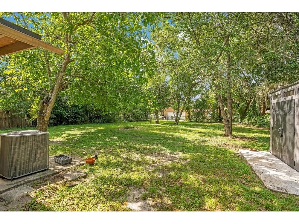 310 E 6th Street Chuluota FL 32766 R4911656 image14