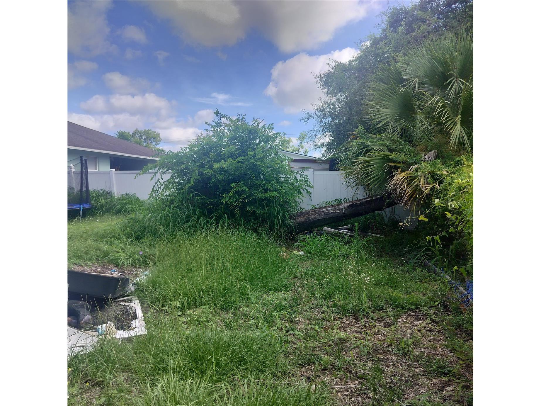 310 Faison Street Plant City FL 33563 TB8527059 image30