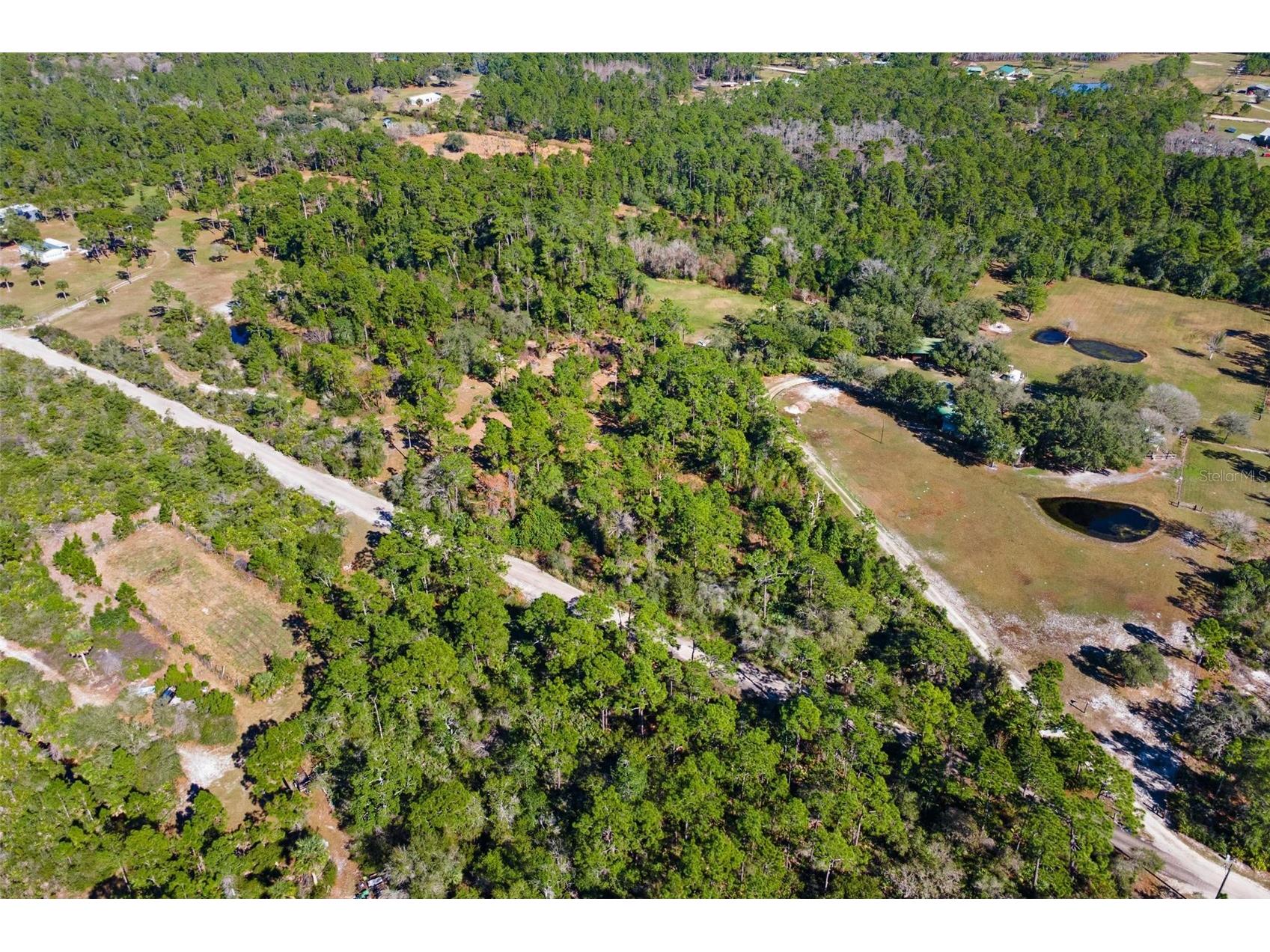 310 Fawn Trail Osteen FL 32764 G5106922 image4