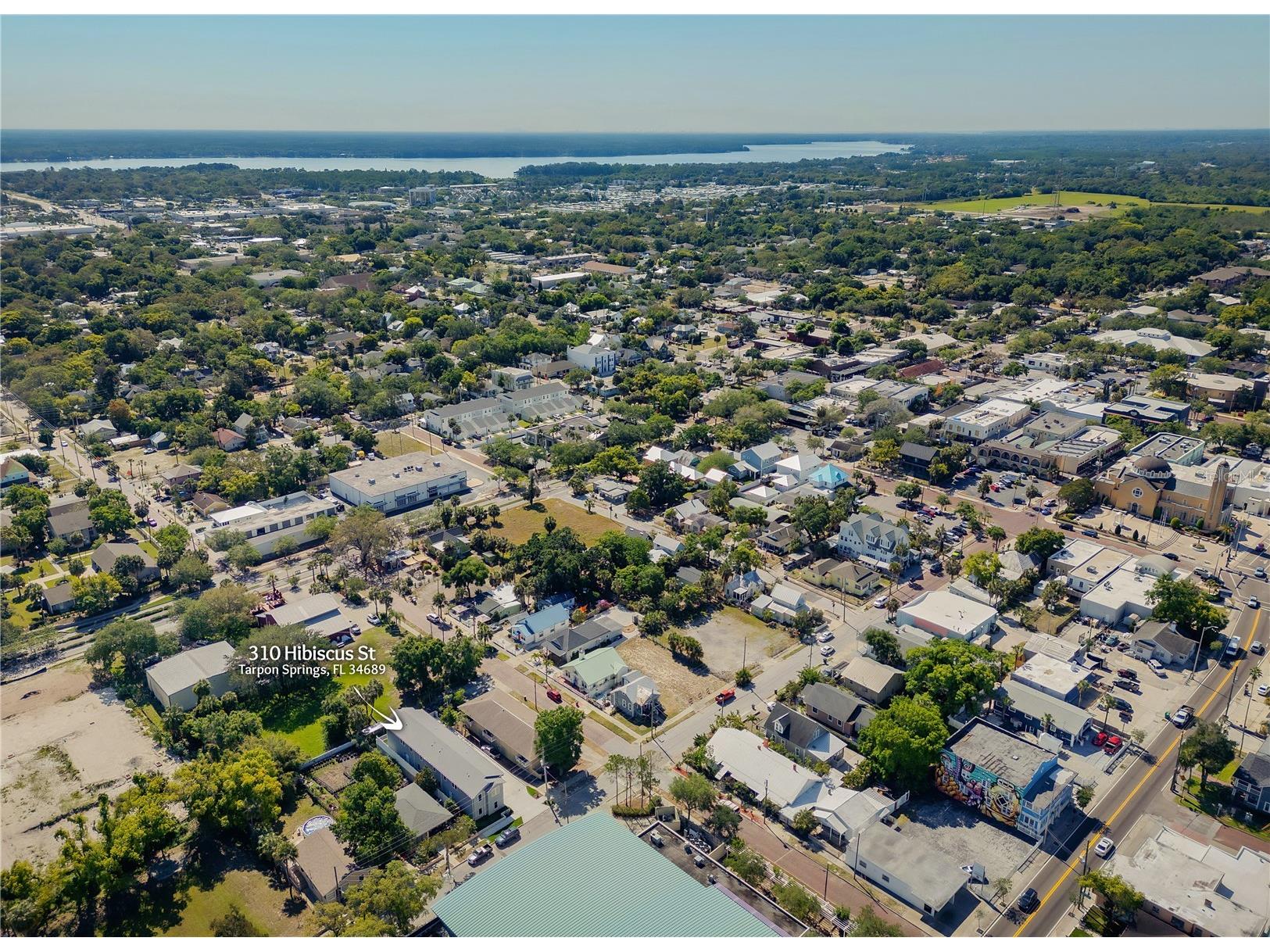 310 Hibiscus Street #B Tarpon Springs FL 34689 TB8520123 image52