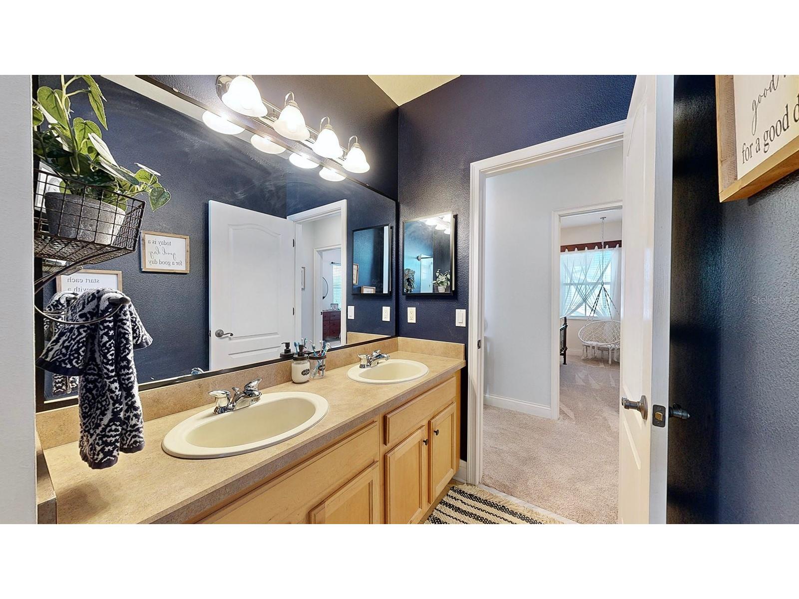 310 Manns Harbor Drive Apollo Beach FL 33572 TB8487464 image46