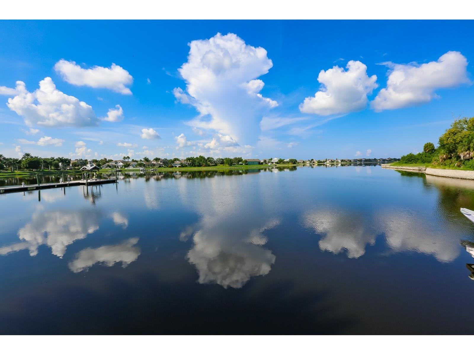 310 Manns Harbor Drive Apollo Beach FL 33572 TB8487464 image73