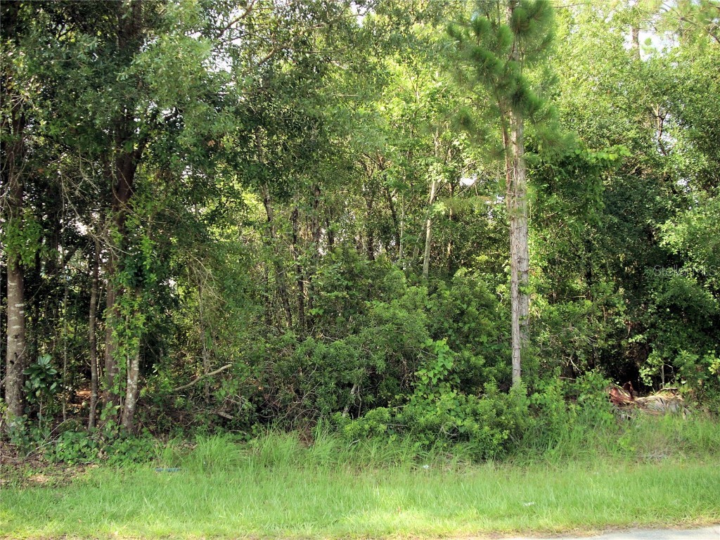 310 Marquee Drive Kissimmee FL 34758 S5087202 image1