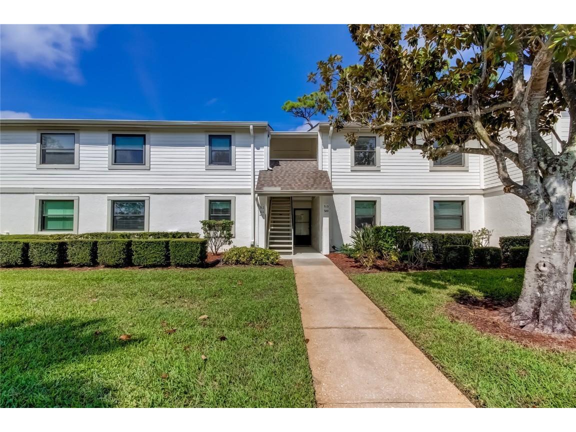 310 Meadow Lane Oldsmar FL 34677 U8217000 image1