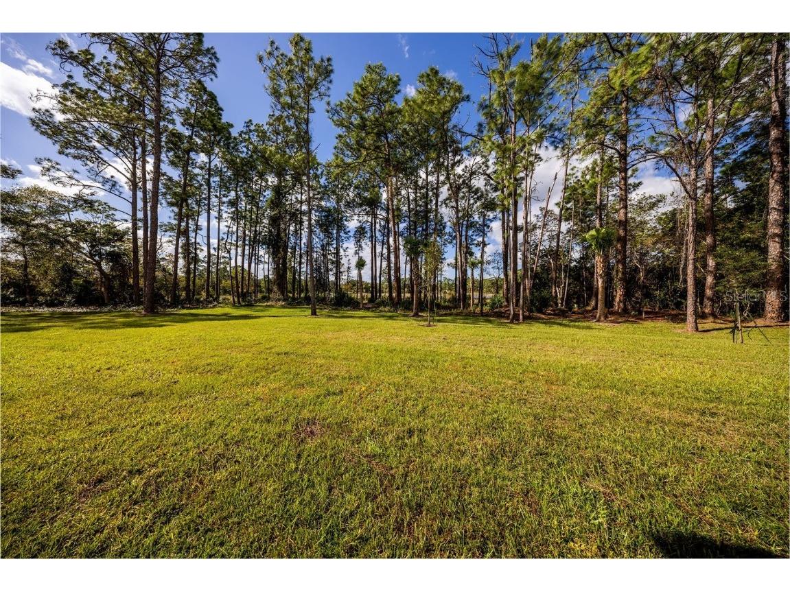 310 Mitnik Drive Deltona FL 32738 - LAKE MITNIK O6356799 image45