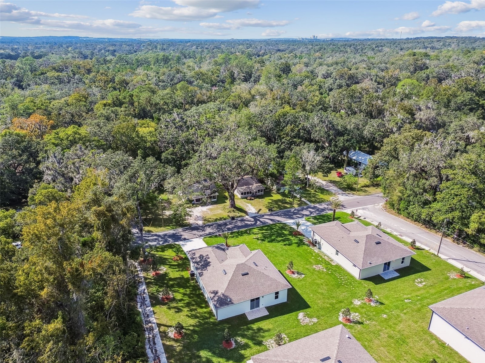 310 N Lemon Avenue Brooksville FL 34601 TB8438030 image62