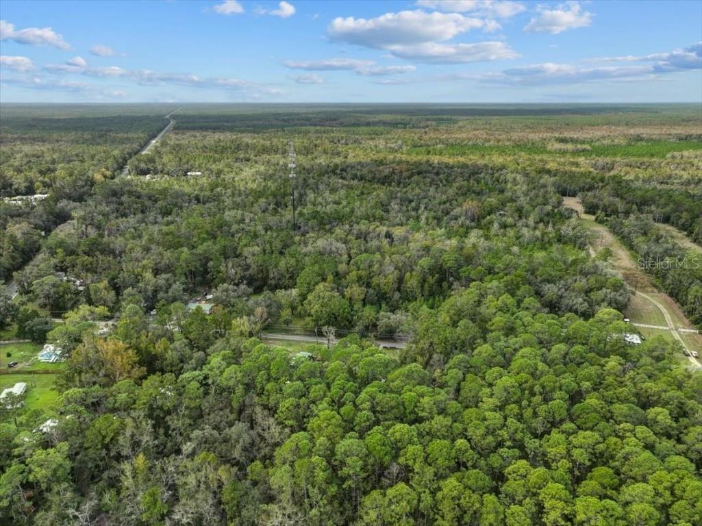 310 N Otter Creek Avenue Bronson FL 32621 GC526307 image3